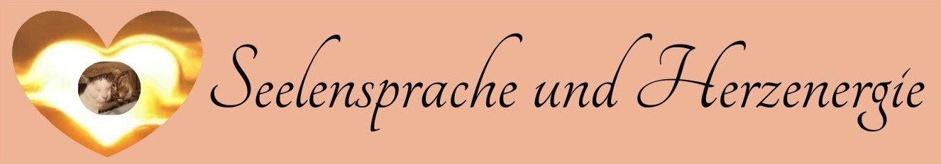 seelensprache-herzenergie.de